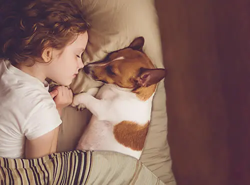 Lapsi ja pieni koira nukkuvat minkään häiritsemättä, kiitos lastenhuoneen tehokkaalle äänieristykselle.